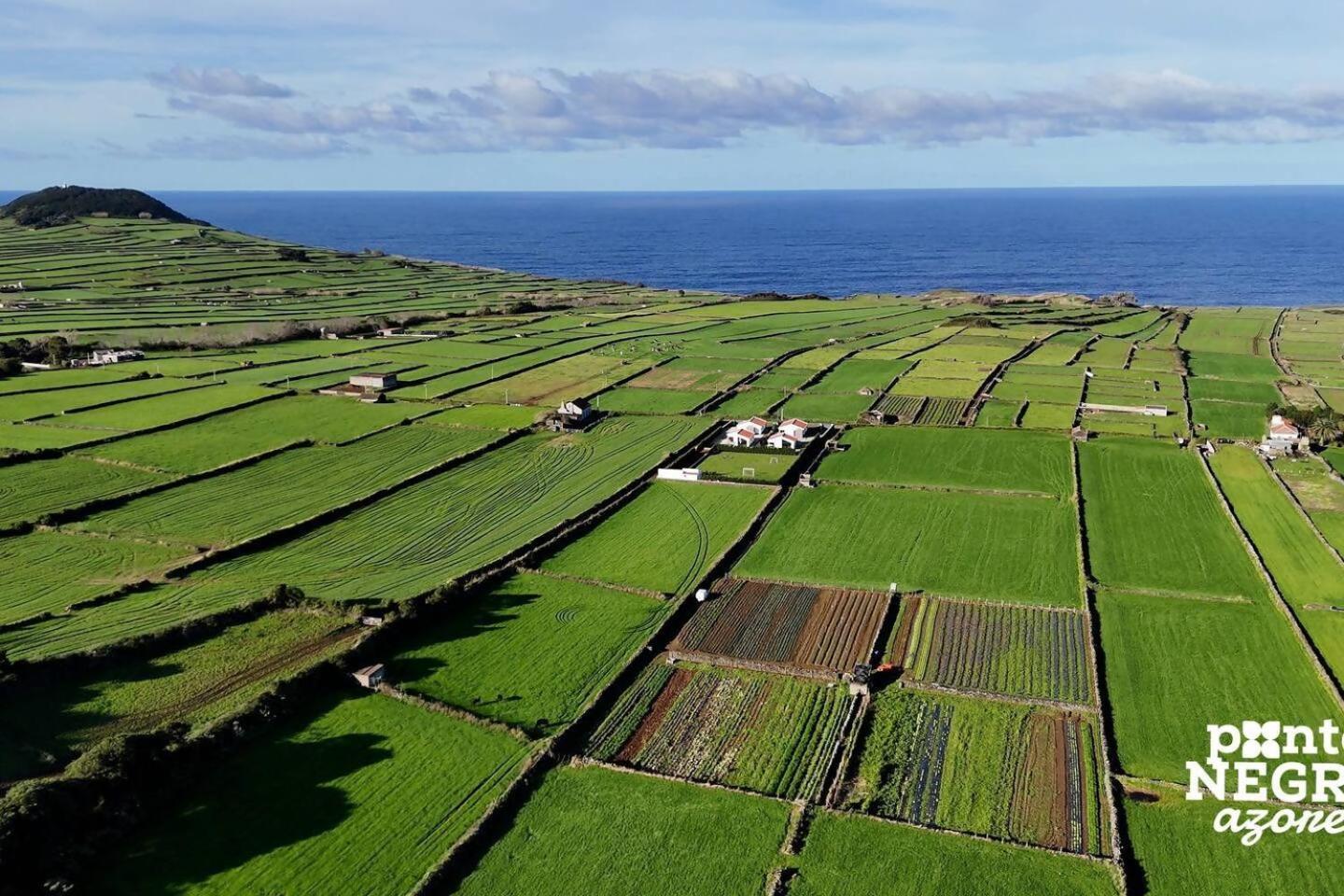 Wine House By Ponta Negra Azores Altares Екстериор снимка